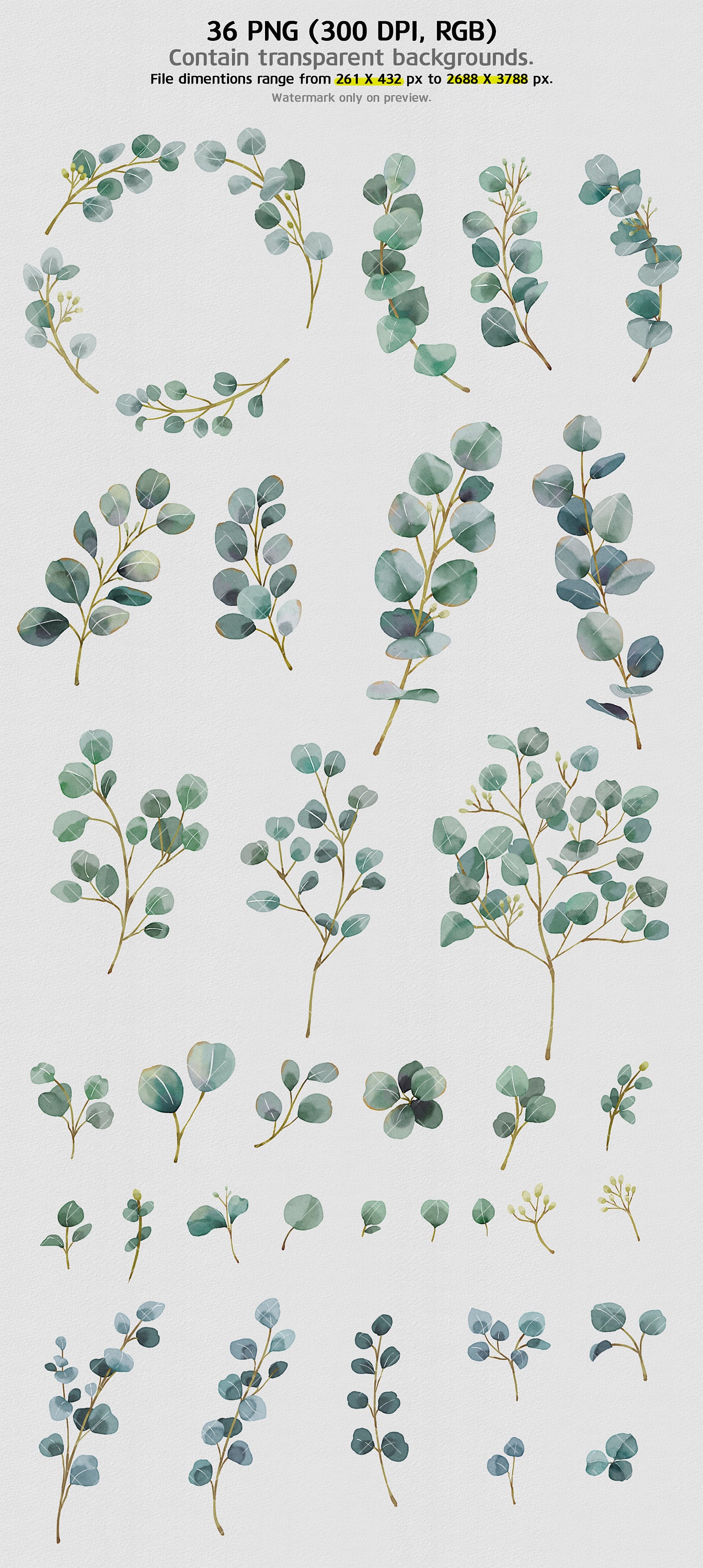 Watercolor Eucalyptus Clipart Baby Blue Greenery Clipart - Etsy