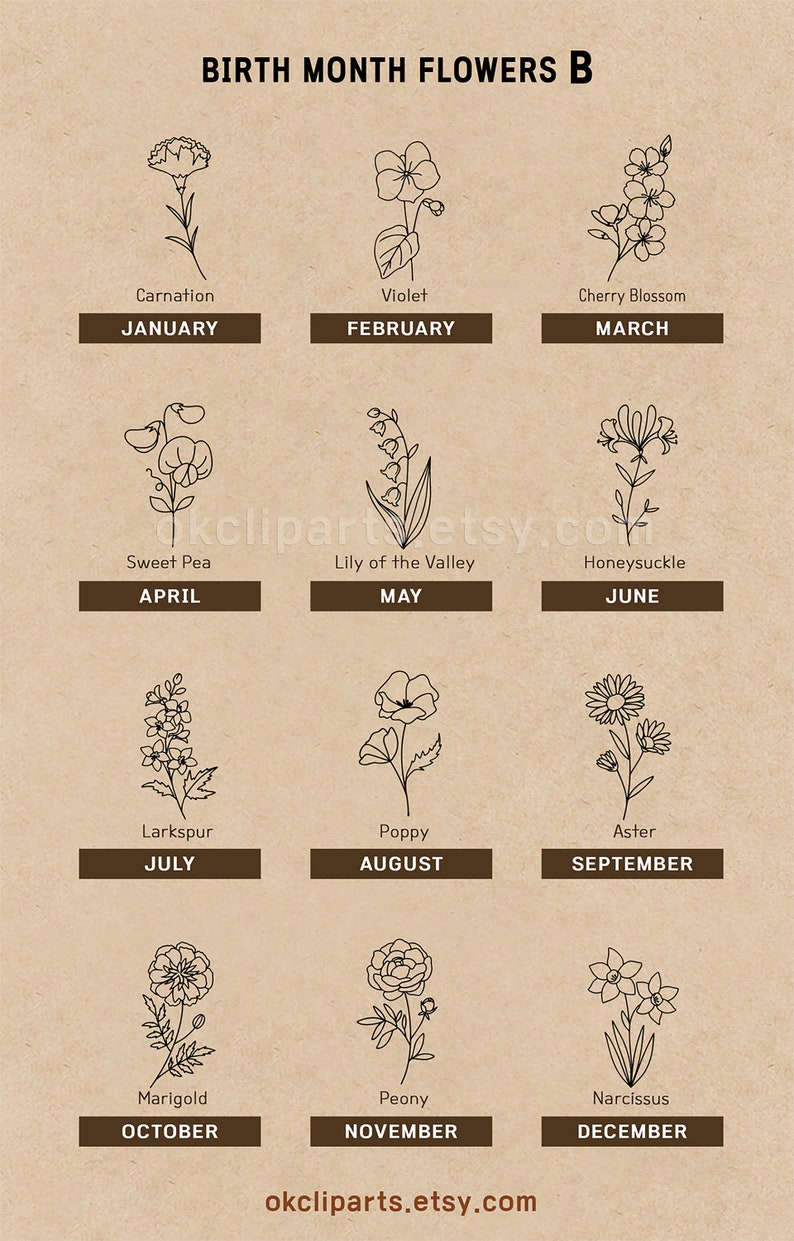 Birth Flower SVG, Svg Bundle Set, Birth Month Flower, Poppy Svg, Birth Flower Png, Logo Label Design, Floral Line Art EPS, Birthday svg Boho