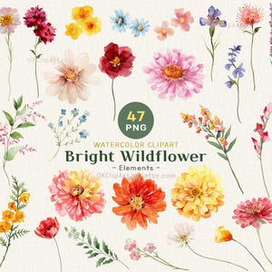 Watercolor Bright Wildflower Clipart Elements – Colorful Floral PNG for DIY Invitations, Spring Scrapbooking, Summer Cards, Flower Wall Art