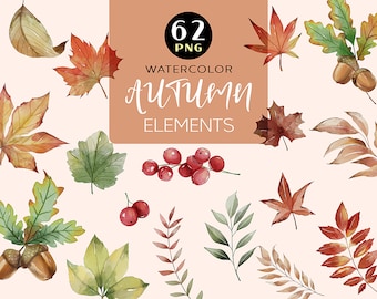 Watercolor Fall Leaves Clipart, Autumn Clipart, Watercolor Clipart, Fall Leaf Clipart, Thanksgiving, Halloween, Leaf PNG, Oak, Autumn Decor