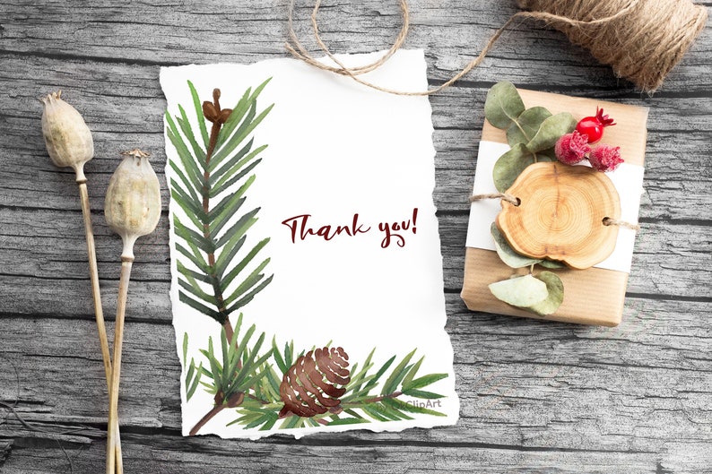Puede incluir: Una tarjeta blanca con un borde de rama de pino verde y una pi&ntilde;a marr&oacute;n. La tarjeta tiene el texto "&iexcl;Gracias!" escrito en rojo.