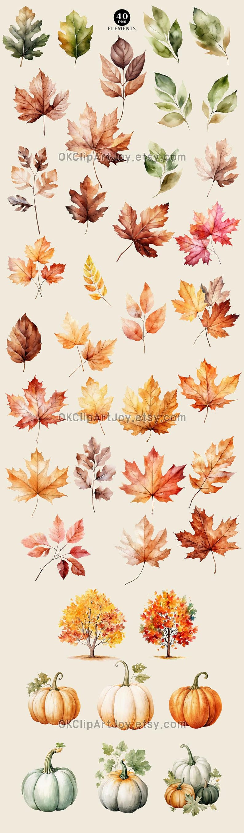 40 PNG Watercolor Fall Leaves & Pumpkin Clipart, Autumn Leaves Clipart ...