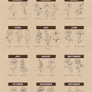 Birth Month Flower, Birth Flower SVG, Poppy Svg, Morning Glory Svg ...