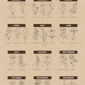 Birth Month Flower, Birth Flower SVG, Poppy Svg, Morning Glory Svg, Birth Flower Png, Svg Bundle Set, Logo Label Design, Floral Line Art EPS