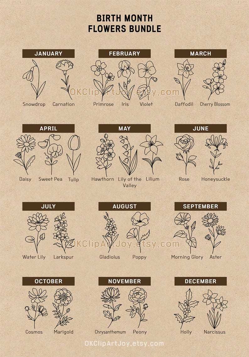 Birth Month Flower, Birth Flower SVG, Poppy Svg, Morning Glory Svg, Birth Flower Png, Svg Bundle Set, Logo Label Design, Floral Line Art EPS
