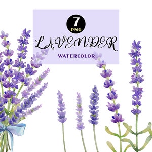 Lavendel Clip Art, Aquarell Clip Art, Aquarell Blumen Clip Art, Einladung Clip Art, Hochzeit Clip Art png, Baby Clipart, Frühling Clipart