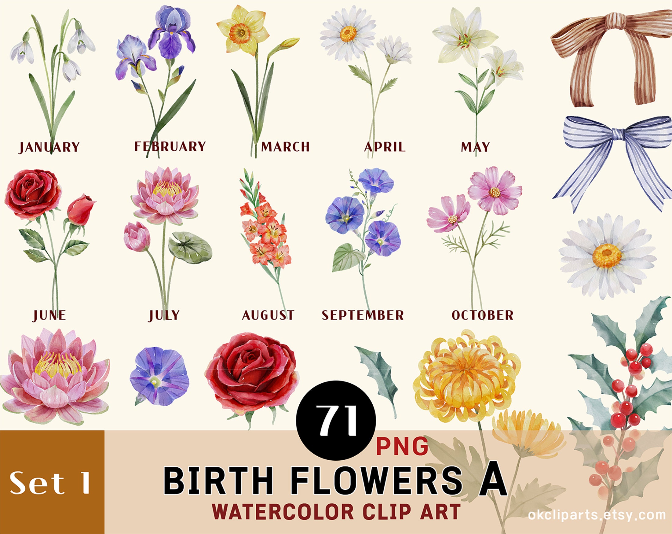 Birth Month Flowers Clipart Watercolor Floral PNG Bundle Etsy Canada