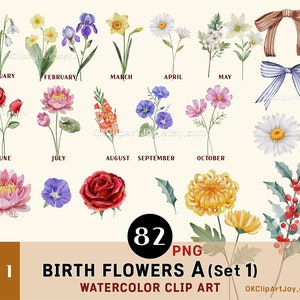 Geburt Monat Blumen Clipart, Aquarell Blumen PNG Bundle, Blumen Grafik botanische Clipart DIY Geburt Monat Blumen Druck Schöpfer Kit Mütter
