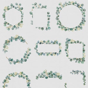 May include: Set of 15 PNG digital frames featuring watercolor eucalyptus leaves in shades of green. The frames are in various shapes, including circles, squares, rectangles, and a hexagon.