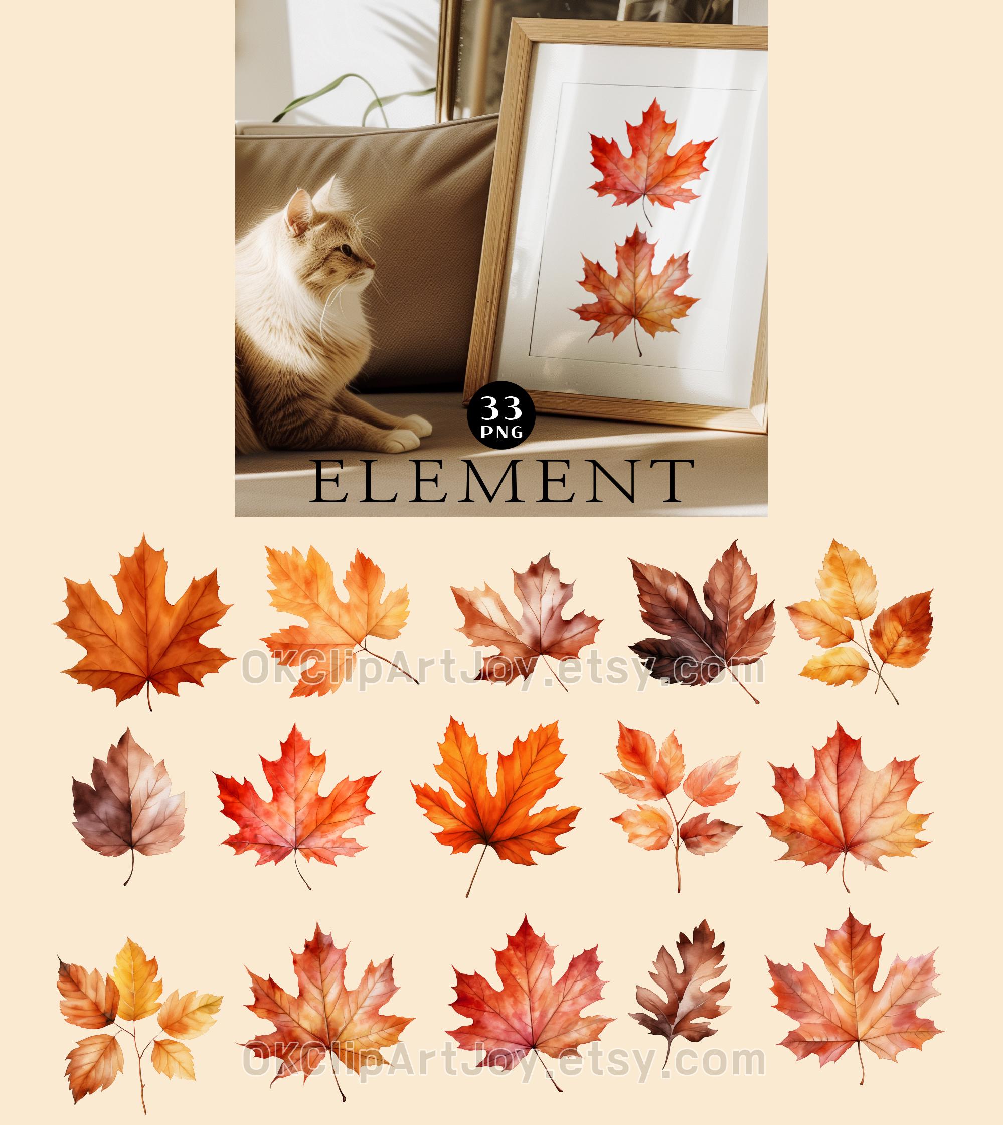 33 PNG Watercolor Fall Leaves Clipart Autumn Leaves Clipart Bundle Fall ...
