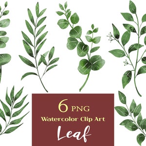 Boho Leaves Clip Art, Grafiki Akwarelowe, Klipart Wiosenny Liść, Ilustracja Botaniczna, Zielony Projekt png, Scrapbooking, Zaproszenia Ślubne