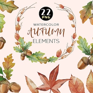 Aquarell HerbstBlätter Clipart, Herbst Clipart, Wald, Rustikal, Herbst Clipart, Erntedank, Halloween, Herbstkranz, Eichenblätter, Eicheln