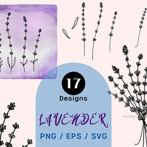 Lawenda Svg Clipart, Lawenda Kwiat Png, Svg dla Sylwetka Linia sztuki clipart Linia rysunek svg Linia sztuki Kwiaty Wektor Eps Kwiatowa Linia sztuki
