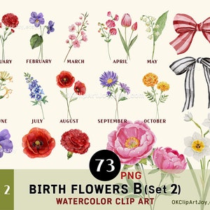 Clipart de flores do mês de nascimento em aquarela, pacote floral PNG, clipart botânico gráfico de flores DIY mês de nascimento Kit criador de impressão de flores mães