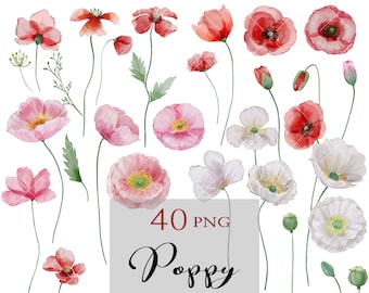 Fiori di papavero, clipart floreale primaverile, papavero rosso acquerello, clip fiori selvatici, biglietto d&#39;auguri per inviti di nozze, Boho, rosa rosso bianco
