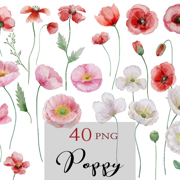Poppies Flowers, Spring Floral Clipart, Watercolor Red Poppy, Wild Flowers Clip, Wedding Invitations Greeting Card, Boho, White Red Pink
