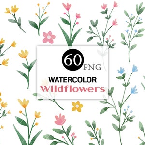 Elemento floral de primavera, clipart de flores silvestres, png botânico floral desenhado à mão, ilustrações de clipart de flores, planta, flor, boho, folhas, vegetação