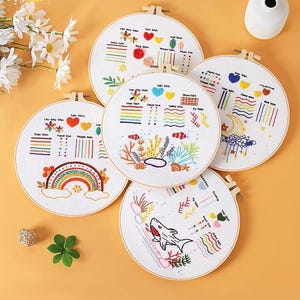 Stitch Along Embroidery Kit / Complete Beginner Embroidery Kit / Pick and Stitch Embroidery Kit For Beginners / Learn Embroidery Starter Kit