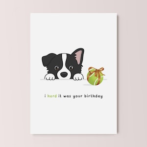 I Herd It Was Your Birthday, Cute Pun Birthday Greeting Card, Border Collie Dog, Blank Inside, Envelope Included