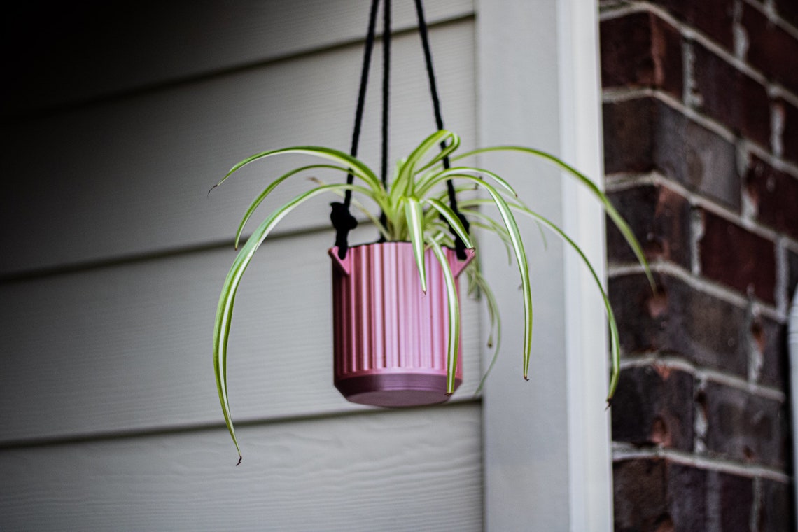 Selfwatering Hanging Pot Etsy