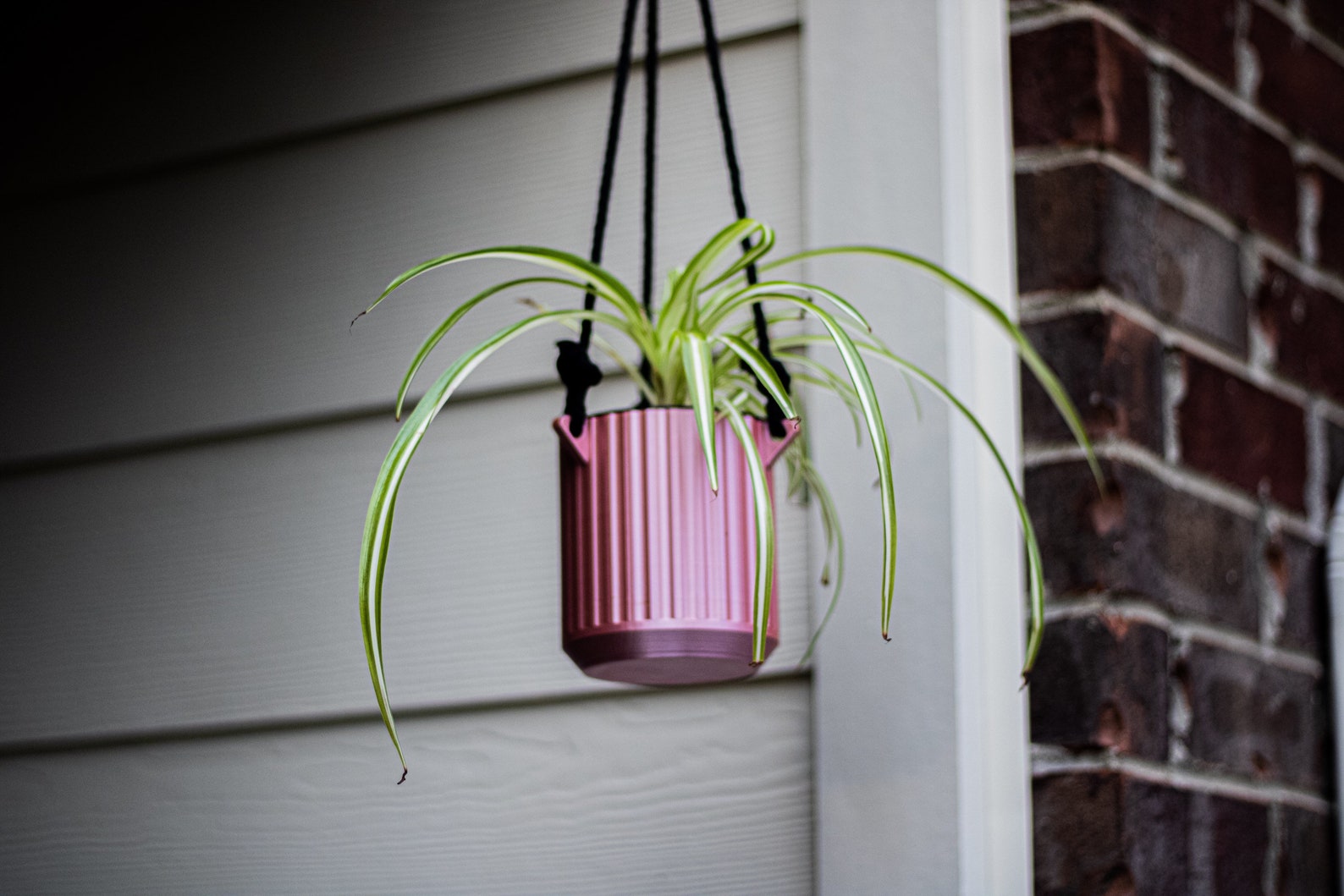 Selfwatering Hanging Pot Etsy