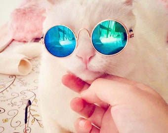 Pet Sunglasses