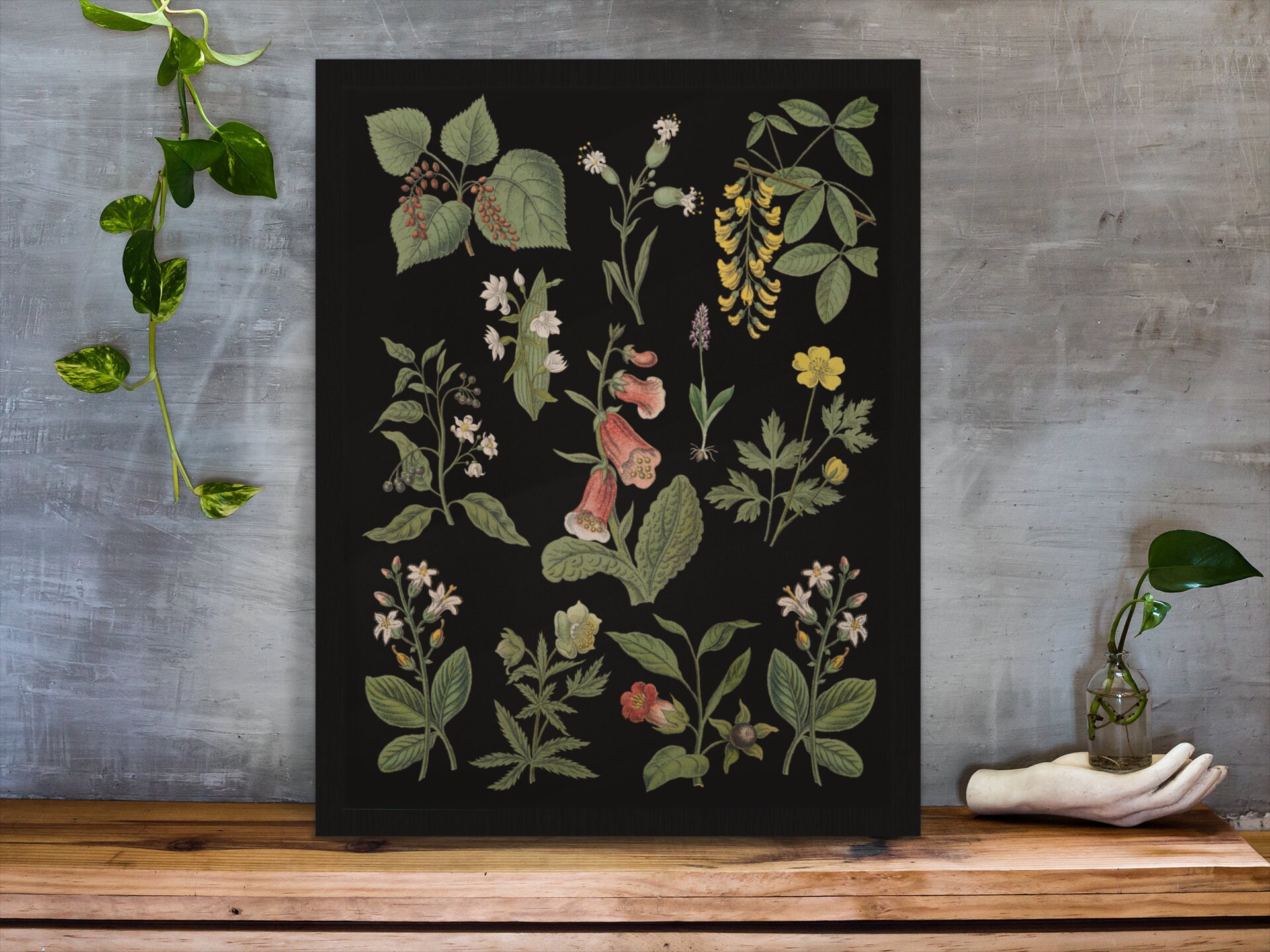 Black Botanical Print Cottagecore Wall Art Cottage Core Etsy