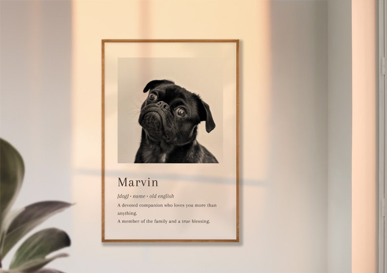 Pet Definition Pet Definition Print Custom Pet Wall Art Etsy