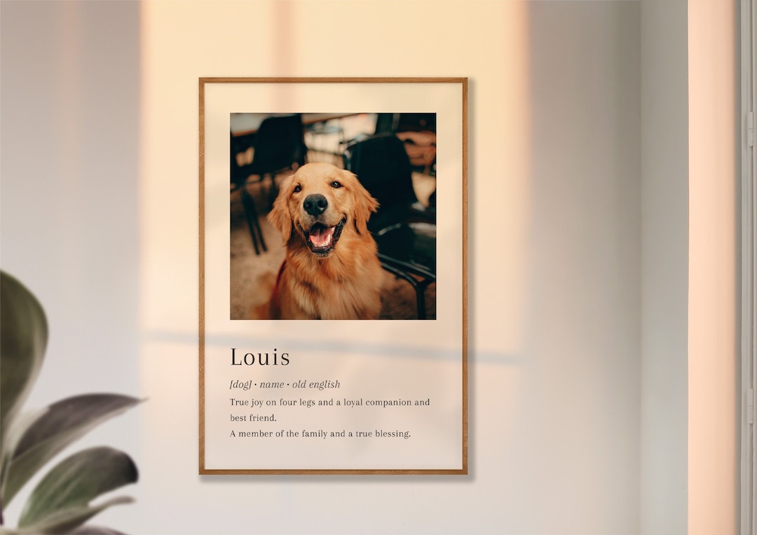 Pet Definition , Pet Definition Print , Custom Pet Wall Art