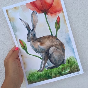 La LEPRE nel CAMPO dei PAPAVERI. A4