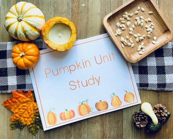 Pumpkin Mini Study Fall Printables Fall Activities for Kids