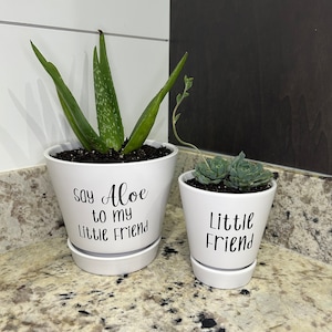 Puede incluir: Dos macetas de cerámica blanca con letras negras. La maceta más grande tiene una planta de aloe y dice "Say Aloe to my Little Friend". La maceta más pequeña tiene una suculenta y dice "Little Friend".
