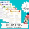 Electrolyte Imbalances Study Guide: Nursing School Notes (PDF Digital ...