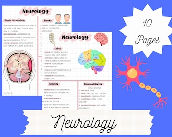 Notas de neurología, guías de estudio de enfermería de la UCI, notas de estudiantes de enfermería, evaluación física, guías de estudio de cuidados intensivos, CCRN, descarga instantánea