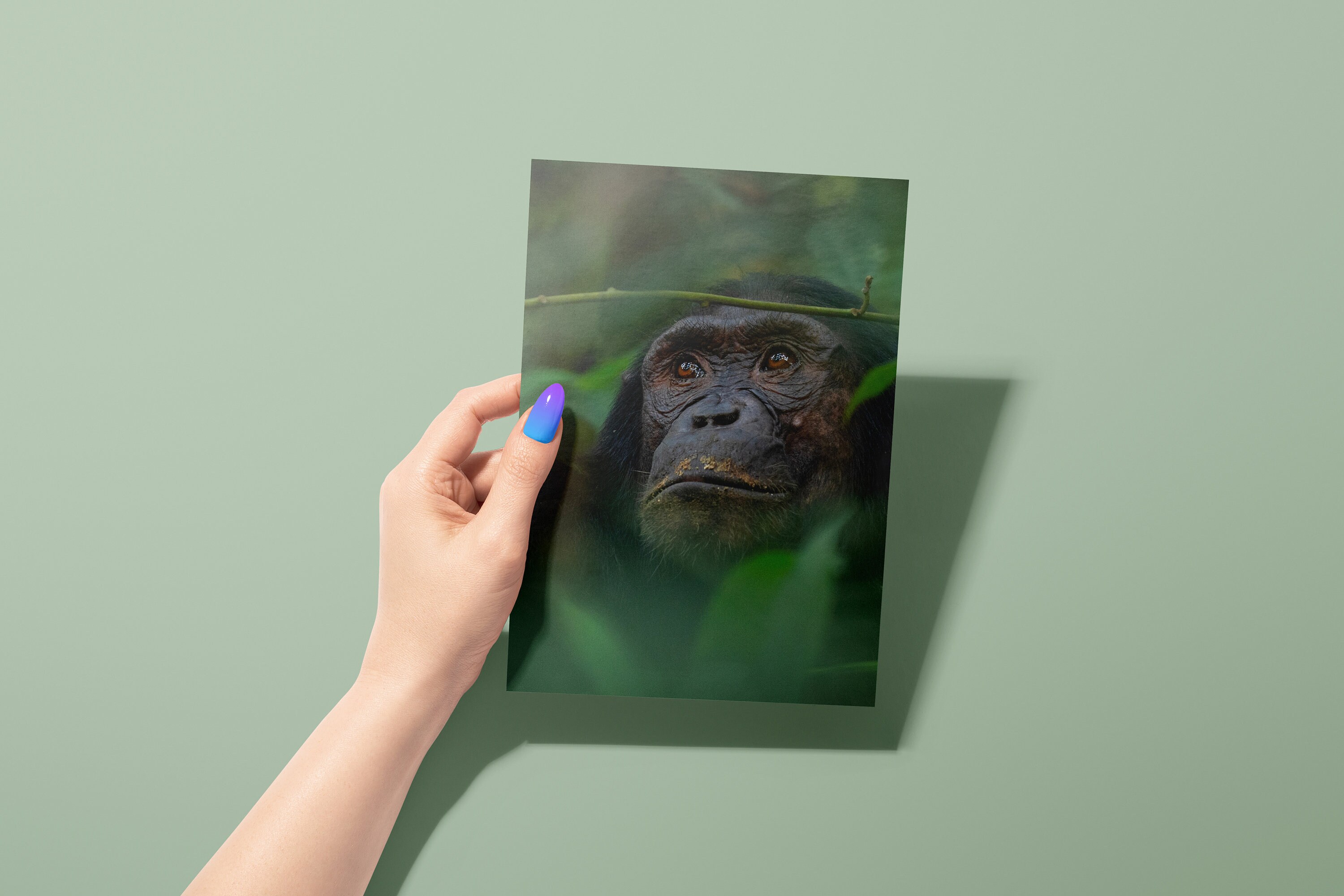 Gorilla In The Jungle Blank Card Etsy 日本