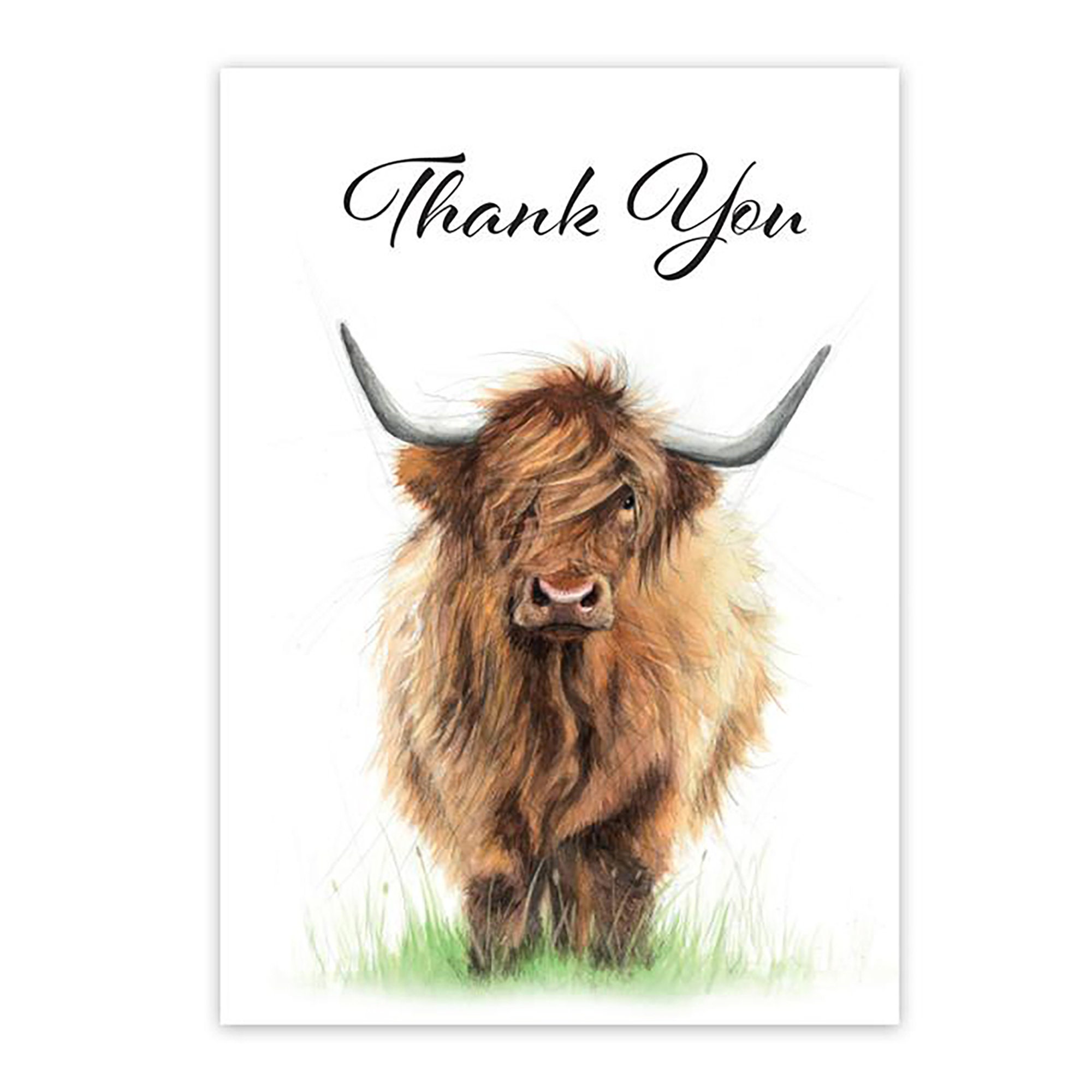 Thank You Cards Scottish Highland Cows 5pk Etsy