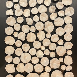 Handmade Clay Wall Sculpture DIY Design 100 pieces image 3