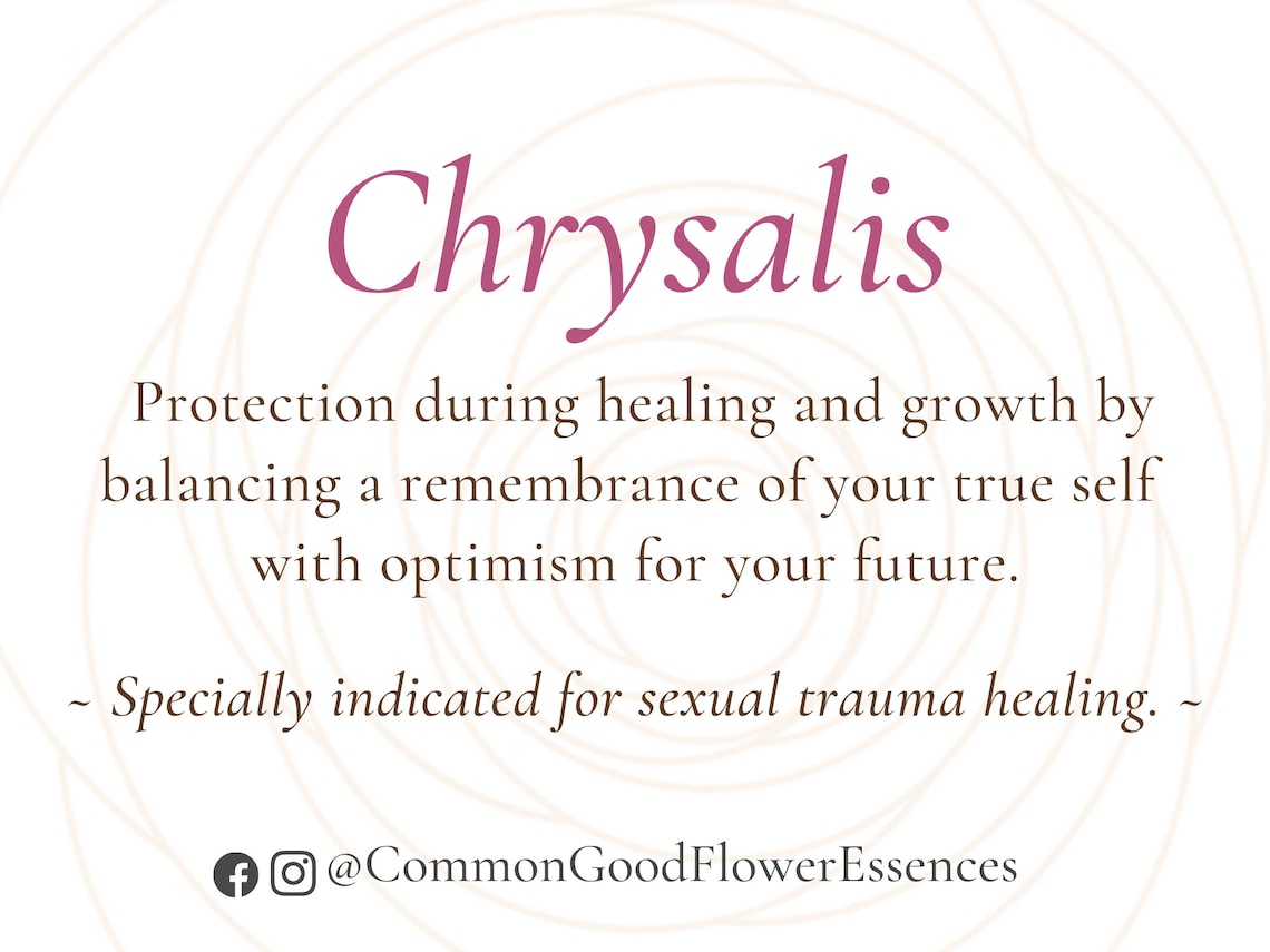 Sexual Trauma Healing Flower Essence Blend Etsy