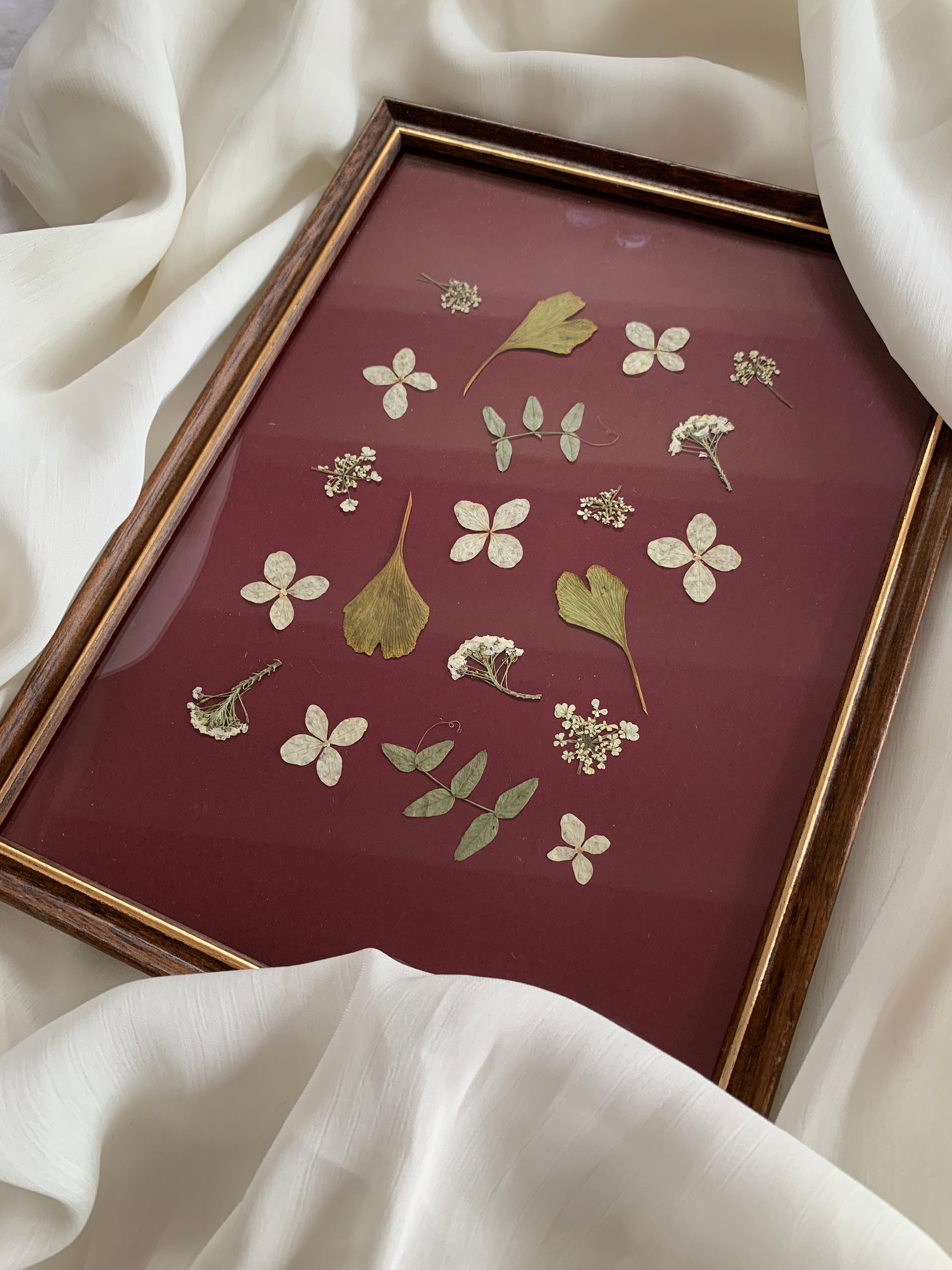 Cadre Herbier Mirandol