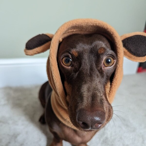 Bear Dog Snood,  Handmade from Soft waterproof Polar Fleece, with cute Bear ears,  Best Christmas gift, Small & Large sizes