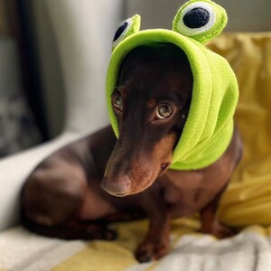 Frog Fleece Dog Snood