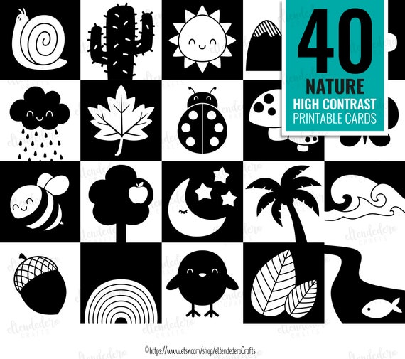 家庭保育園 ファーストプログラム 白黒ドッツカード 絵カード 赤ちゃん 家庭保育園 ファーストプログラム 白黒ドッツカード 絵カード 赤ちゃん