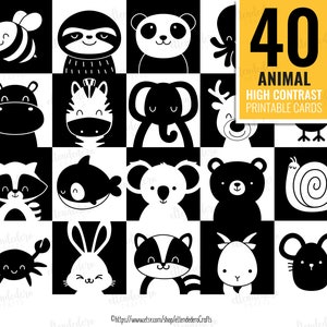 IMPRIMIBLE/ Tarjetas Estimulación Visual Bebé. PDF Tarjetas Blanco y Negro de Aprendizaje Infantil. Láminas Sensoriales Naturaleza.