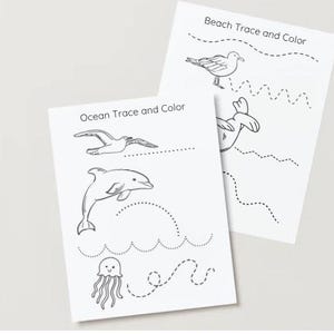 May include: Two white sheets of paper with the text "Ocean Trace and Color" and "Beach Trace and Color". Each sheet has line drawings of sea creatures like a dolphin, seagull, and jellyfish, with dotted lines for tracing.