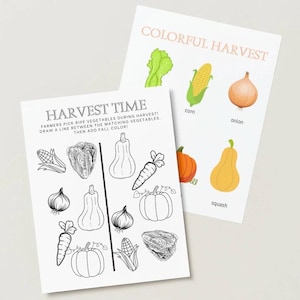 May include: Two educational activity sheets. One sheet titled HARVEST TIME features black and white line drawings of vegetables for colouring. The second sheet titled COLORFUL HARVEST displays full-colour illustrations of corn, onion, and squash.