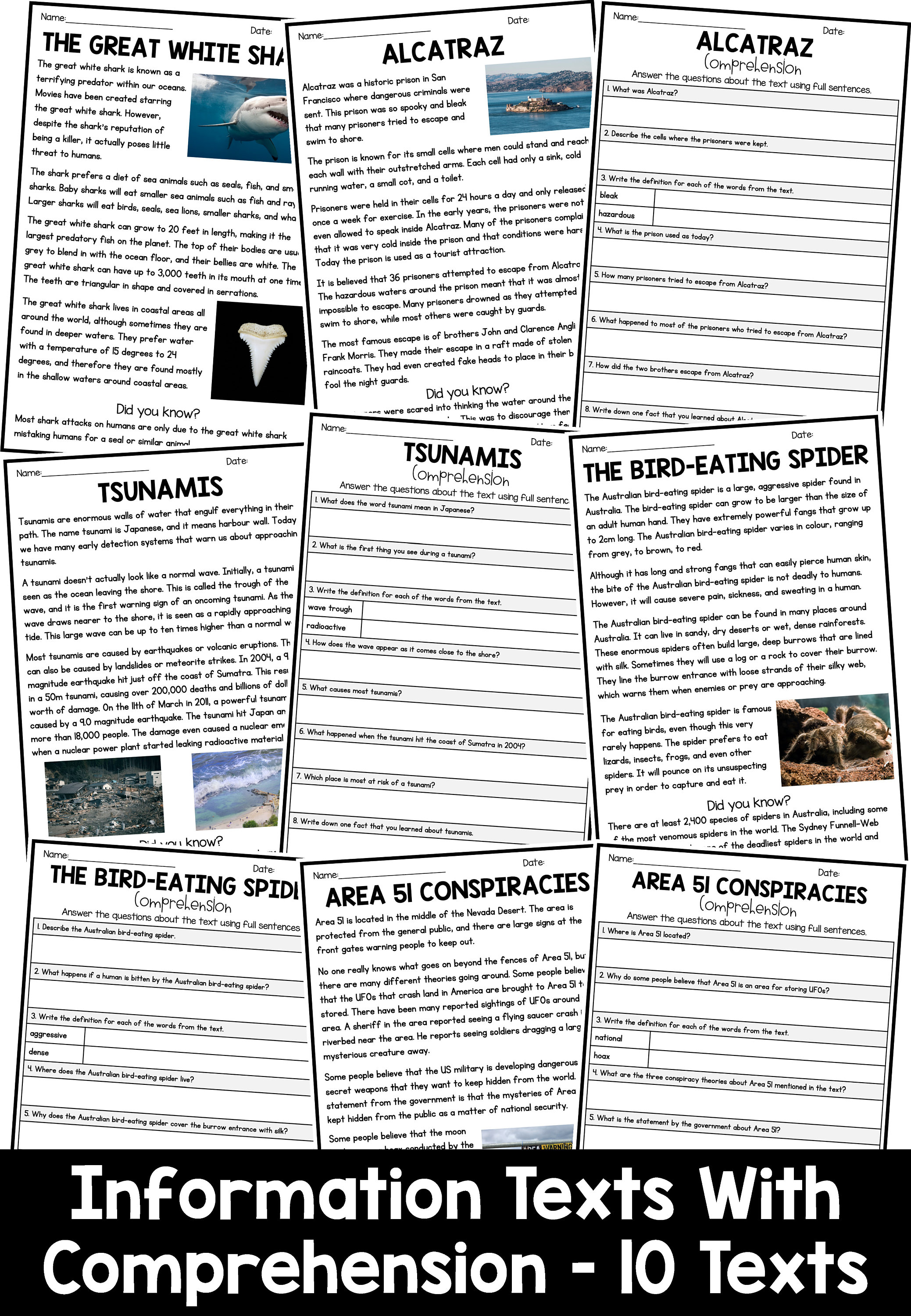 Information Text Reading and Writing Bundle - Etsy
