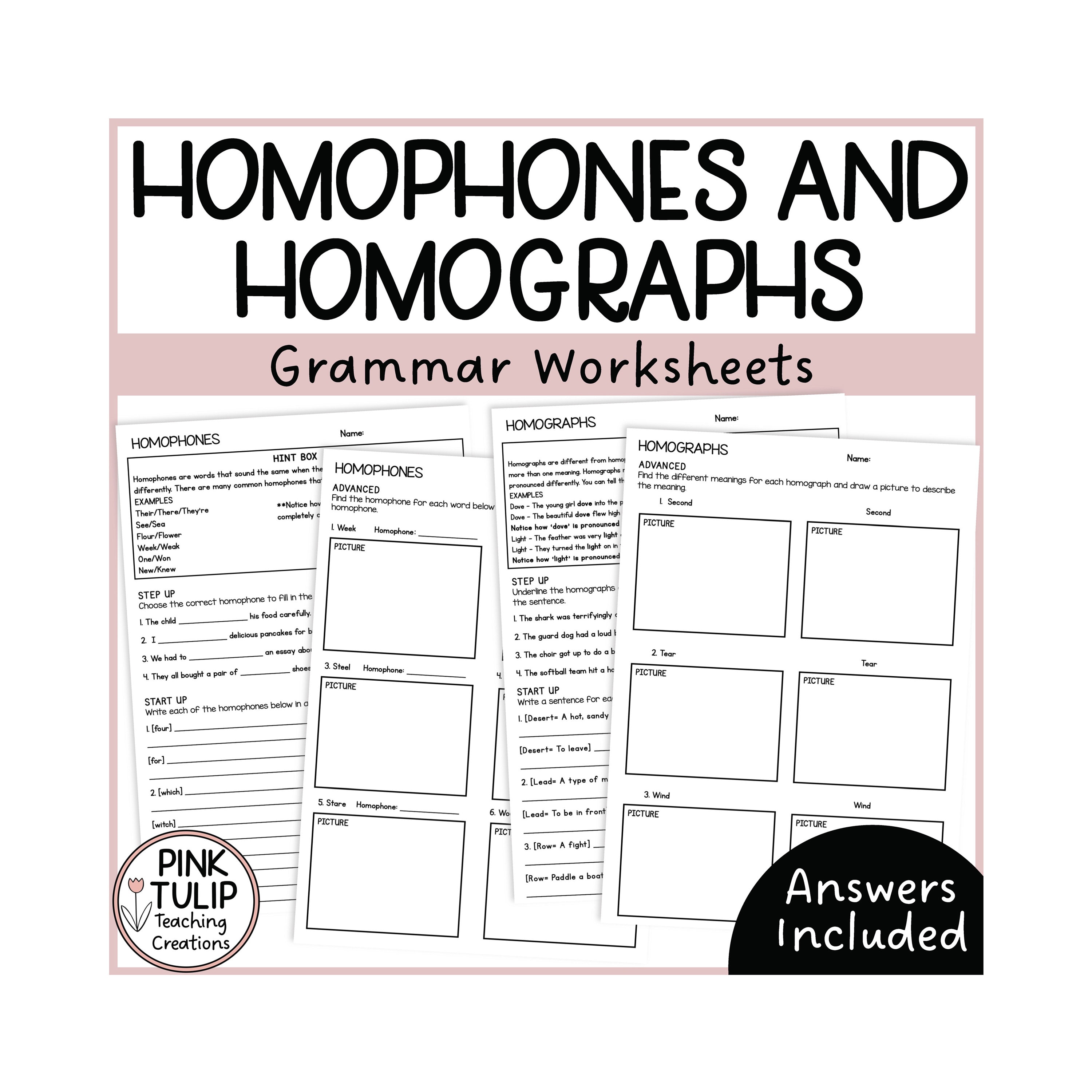 Review: Synonyms, Antonyms, Homonyms and Homographs Worksheet for