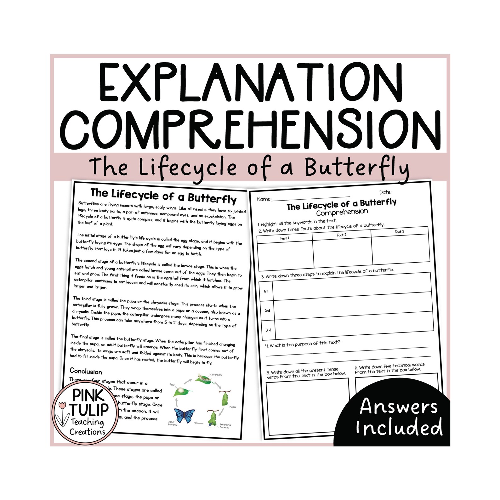 Explanation Text - the Lifecycle of a Butterfly - Etsy