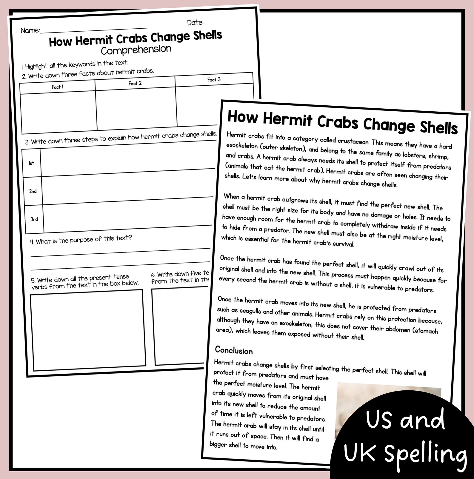 Example Expanation Text Explanation Text Examples - Ten Reading Samples With Comprehension - Etsy