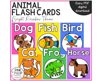 Animal Flash Cards Bright Rainbow Theme